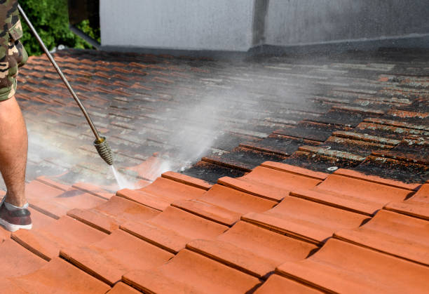 Best Pressure Washing Company Near Me  in North College Hill, OH